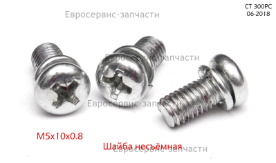 Винт в сборе с шайбой M5х10 мм